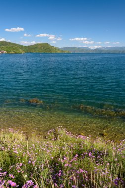 Nehrin yanında çiçek