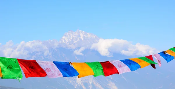 Colorful sutra streamer — Stock Photo, Image