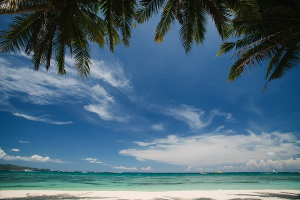 View on the sky through palm trees — Stock Photo, Image