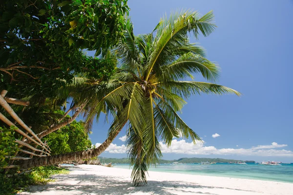 View on the sky through palm trees Stock Image