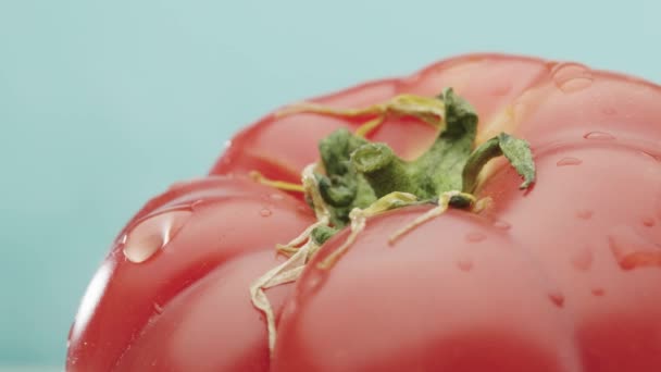 Una goccia gocciola su un pomodoro maturo — Video Stock