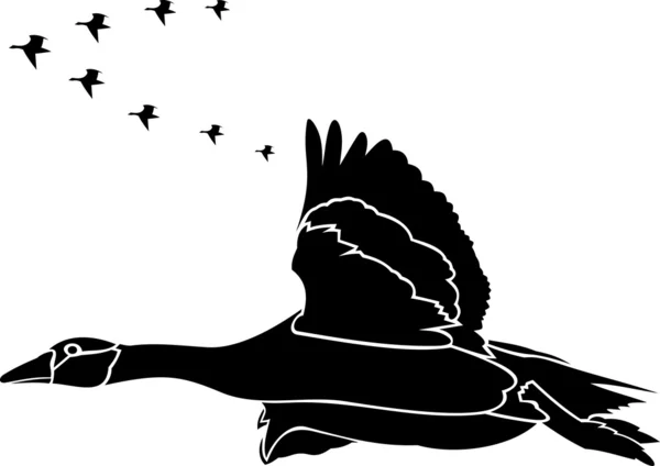 Oiseaux migrateurs Vecteurs De Stock Libres De Droits