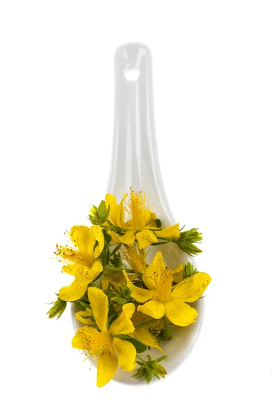 Gele bloemen in porseleinen lepel — Stockfoto