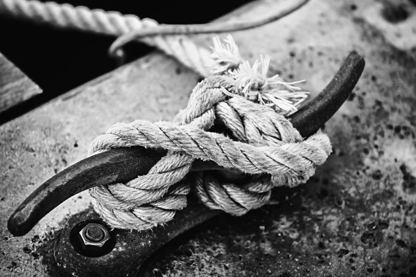 Морская верёвка обвязана вокруг роговой щитки — стоковое фото