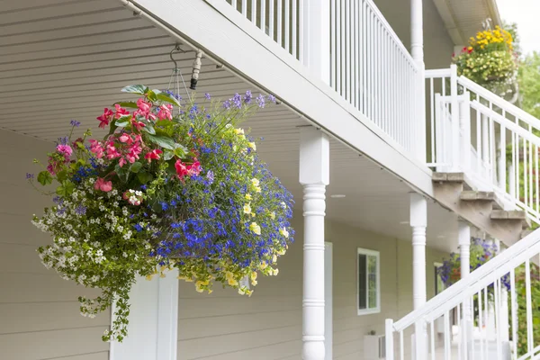 Hanging flower basket — Stock Photo, Image