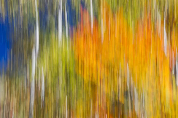 Abstract landscape of colorful autumn forest — Stock Photo, Image