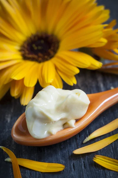 Natural calendula cream — Stock Photo, Image