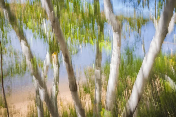 Paisagem turva de outono — Fotografia de Stock