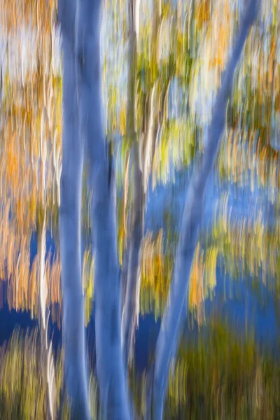 Paisagem turva de outono — Fotografia de Stock