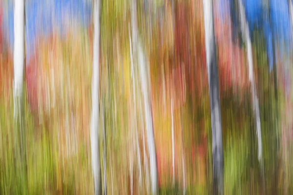 Verschwommene Landschaft im Herbst — Stockfoto