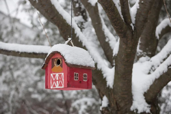 Rumah burung di pohon pada musim dingin — Stok Foto