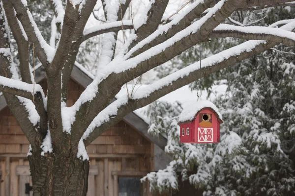 Red gudang birdhouse di pohon di musim dingin — Stok Foto