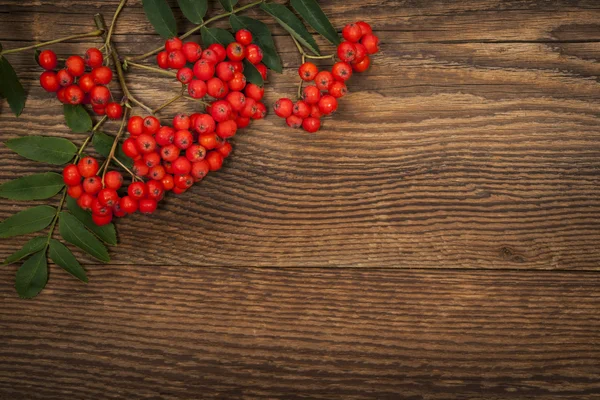 Mountain ash berries over wood — Stock Photo, Image