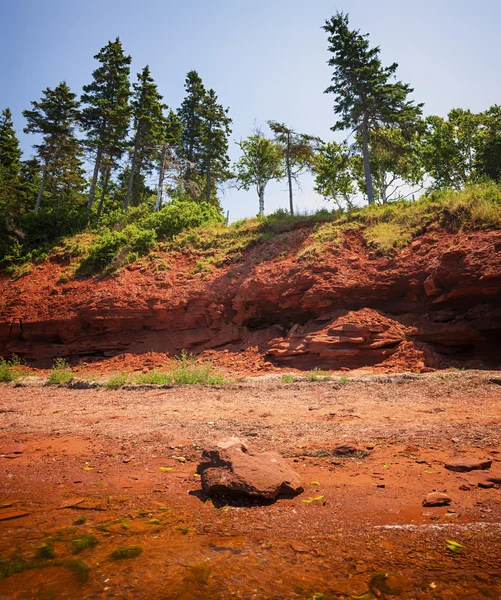 Rode shore Prince Edward Island — Stockfoto