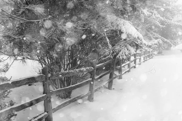 Rural winters tafereel met hek — Stockfoto