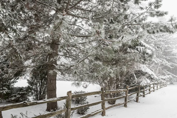 Escena de invierno rural con valla —  Fotos de Stock