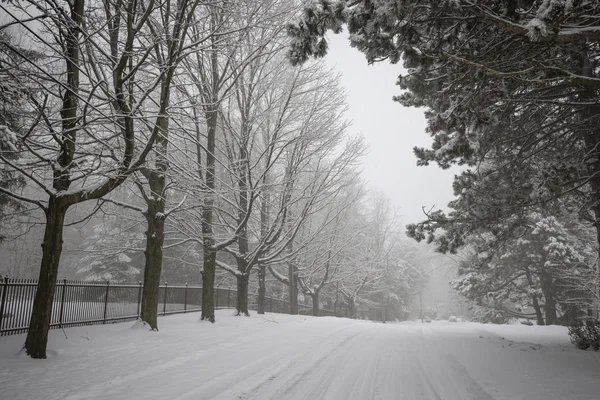 Winter road — Stock Photo, Image