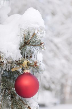 Kırmızı yılbaşı süsleme karlı ağaç üzerinde