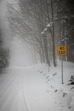 Kar yağışı sırasında kış yol
