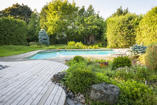 Jardin et piscine dans la cour arrière — Photo