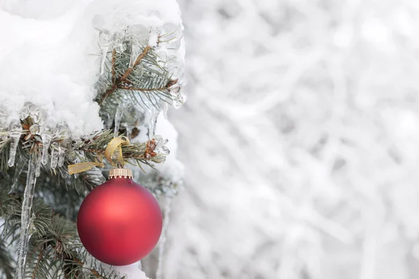 Adorno rojo de Navidad en el árbol al aire libre —  Fotos de Stock