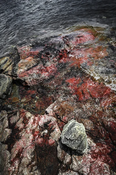 Georgian Bay horniny — Stock fotografie