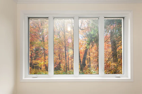 Venster met uitzicht op herfst bos — Stockfoto