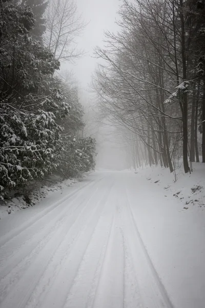 降雪時の冬道 — ストック写真