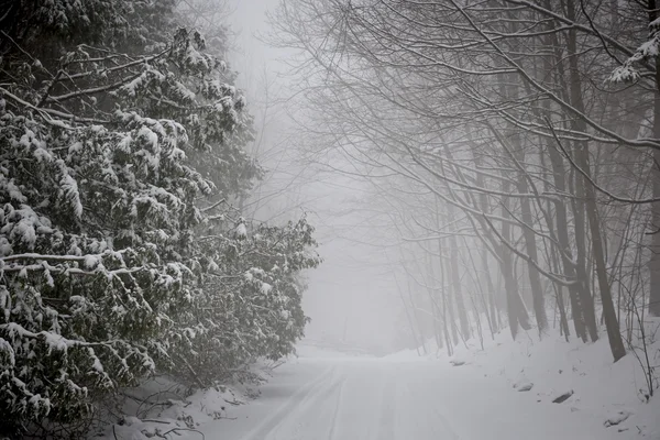 在降雪的冬天路 — 图库照片