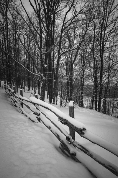 Escena de invierno rural con valla — Foto de Stock