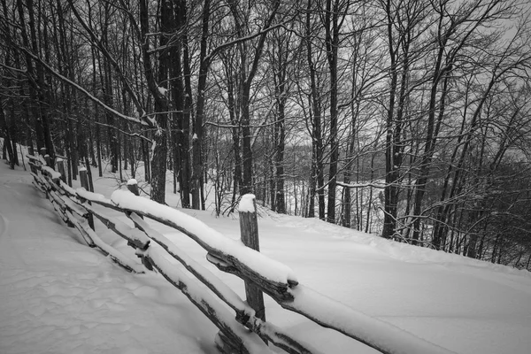 Scena invernale rurale con recinzione — Foto Stock