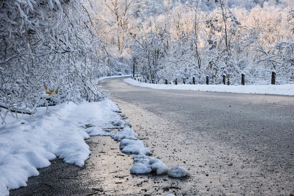 Schilderachtige weg in winter forest — Stockfoto