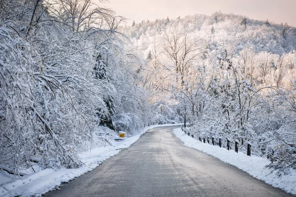 雪に覆われた森林の冬道 — ストック写真
