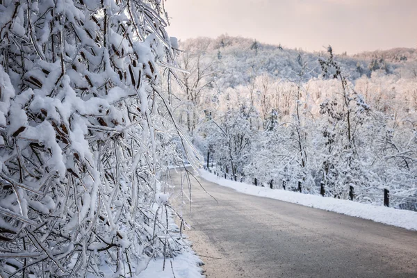 Malebná silnice v zimním lese — Stock fotografie