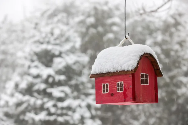 Bird house with snow in winter — Stock Photo, Image