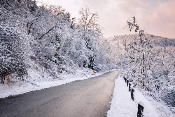 Winter weg na sneeuwval — Stockfoto