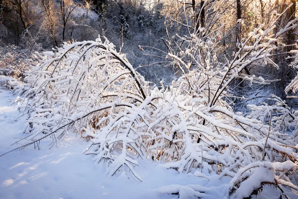 с циклонами зимой обычно связана пасмурная