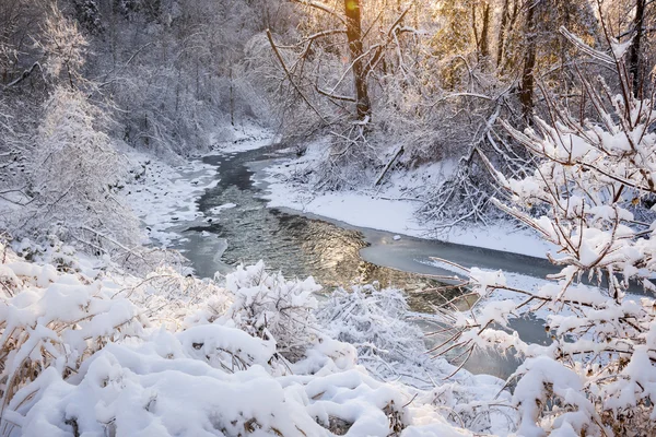 Ruisseau forestier après la tempête hivernale — Photo