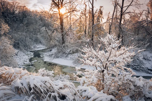 Forest creek na winter storm — Stockfoto