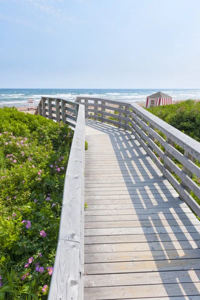 Dřevěný chodník na ocean beach — Stock fotografie