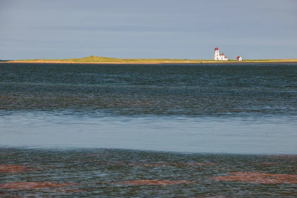 Landskap med fyren på Prince Edward Island — Stockfoto