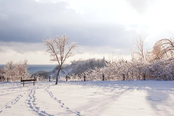 Winterlandschap van Scarborough bluft — Stockfoto