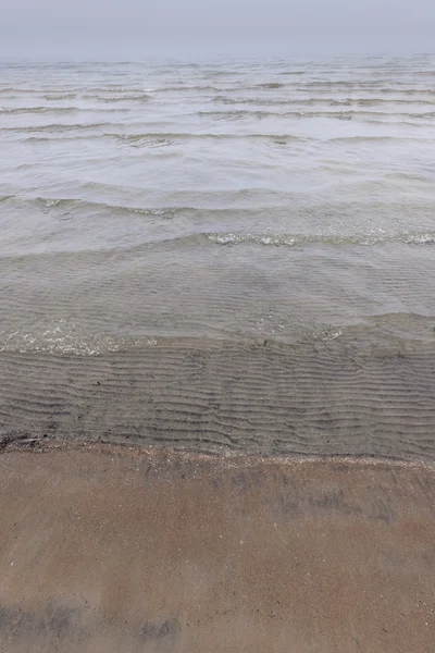 Waves in foggy beach — Stock Photo, Image