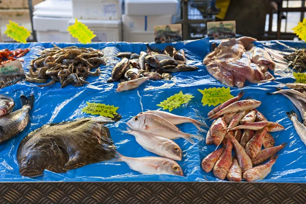 Mercado de peixe na velha Nice — Fotografia de Stock