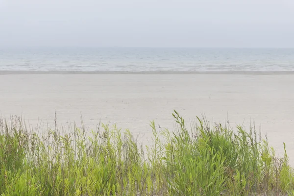 Empty sandy beach — Stock Photo, Image