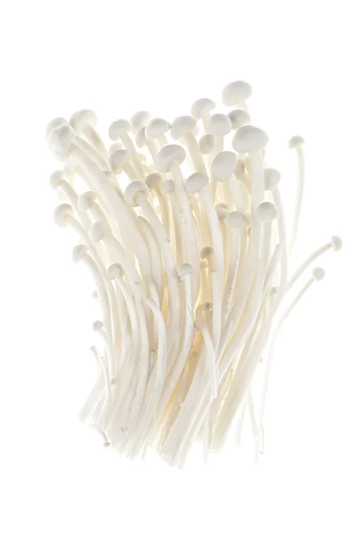 Diversi funghi enoki — Foto Stock