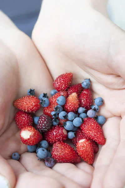 Wild strawberries and blueberries — Stock Photo, Image