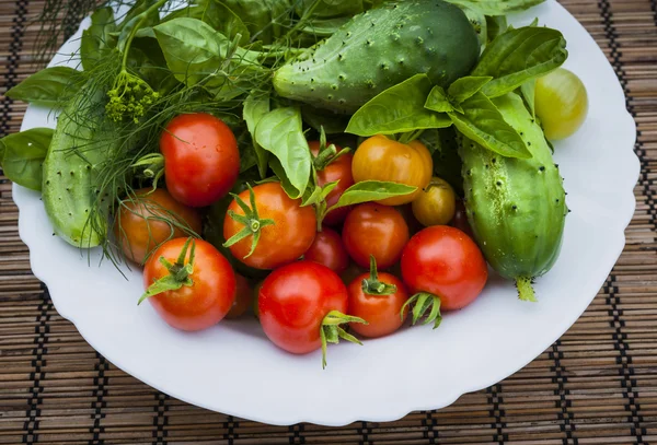 Fresh garden vegetables — Stock Photo, Image