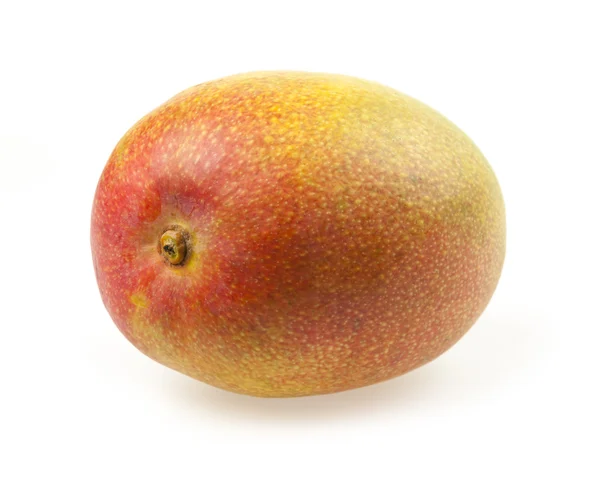Один стиглий плід манго — стокове фото