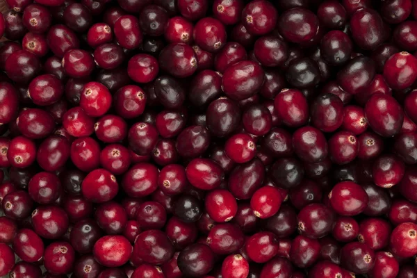 Ripe Cranberries background — Stock Photo, Image